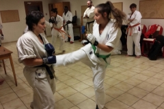 5th Swiss Kyokushin Summer Camp, 1-3 juillet 2016 - 9