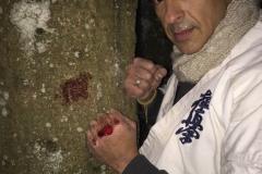 6th Swiss Kyokushin Winter Camp  16-18.12.16 - 13
