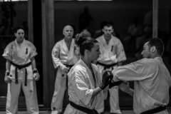 6th Swiss Kyokushin Winter Camp  16-18.12.16 - 142