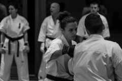 6th Swiss Kyokushin Winter Camp  16-18.12.16 - 143