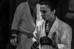 6th Swiss Kyokushin Winter Camp  16-18.12.16 - 146