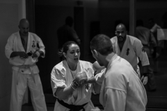 6th Swiss Kyokushin Winter Camp  16-18.12.16 - 149