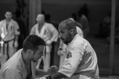 6th Swiss Kyokushin Winter Camp  16-18.12.16 - 152