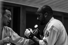 6th Swiss Kyokushin Winter Camp  16-18.12.16 - 157