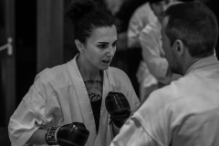 6th Swiss Kyokushin Winter Camp  16-18.12.16 - 161