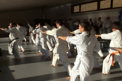 6th Swiss Kyokushin Winter Camp  16-18.12.16 - 20