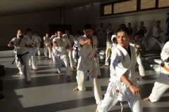 6th Swiss Kyokushin Winter Camp  16-18.12.16 - 21