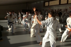 6th Swiss Kyokushin Winter Camp  16-18.12.16 - 22