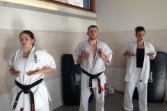6th Swiss Kyokushin Winter Camp  16-18.12.16 - 24