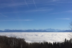 6th Swiss Kyokushin Winter Camp  16-18.12.16 - 31