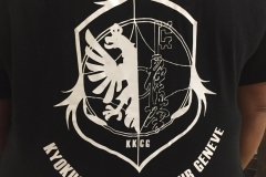 6th Swiss Kyokushin Winter Camp  16-18.12.16 - 4