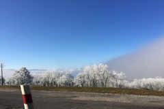 6th Swiss Kyokushin Winter Camp  16-18.12.16 - 49