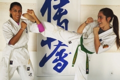 6th Swiss Kyokushin Winter Camp  16-18.12.16 - 54