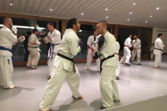7th Swiss Winter Camp 5-7.1.18 - 19