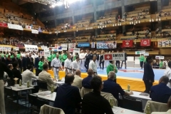 Championnat du Monde So-Kyokushin. Shizuka Japon, octobre 2016 - 42