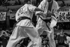 Championnat du Monde So-Kyokushin. Shizuka Japon, octobre 2016 - 50