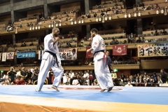 Championnat du Monde So-Kyokushin. Shizuka Japon, octobre 2016 - 53
