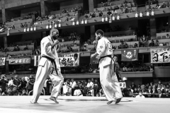 Championnat du Monde So-Kyokushin. Shizuka Japon, octobre 2016 - 54