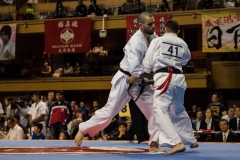 Championnat du Monde So-Kyokushin. Shizuka Japon, octobre 2016 - 61