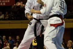 Championnat du Monde So-Kyokushin. Shizuka Japon, octobre 2016 - 63