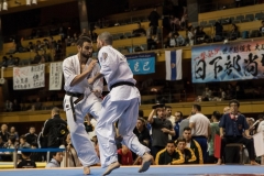 Championnat du Monde So-Kyokushin. Shizuka Japon, octobre 2016 - 68