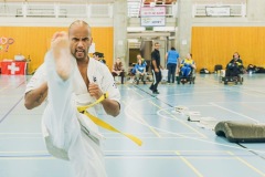 de#U0301mo-handyfoot-et-Knie-2017-11