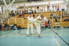 de#U0301mo-handyfoot-et-Knie-2017-23