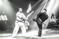 de#U0301mo-handyfoot-et-Knie-2017-5