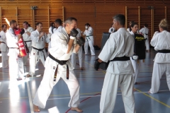 Entrainement National Shinkyokushin, Septembre 2018, Lausanne - 1