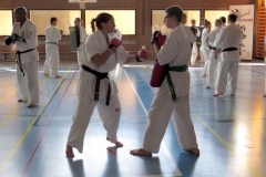 Entrainement National Shinkyokushin, Septembre 2018, Lausanne - 3