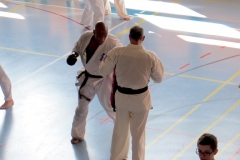 Entrainement National Shinkyokushin, Septembre 2018, Lausanne - 9