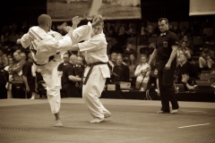 European Championship, Danemark 8-9 avril 2017 - 83