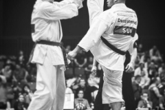 European Championship, Danemark 8-9 avril 2017 - 86
