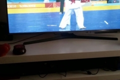 European Shinkyokushin, Tbilisi 13-14 mai 2016 - 6