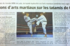 kyokushin-karate-club-geneva-20131123-le-matin