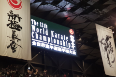 world2019-8