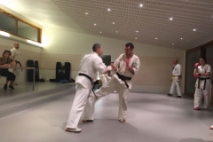 6th Swiss Kyokushin Winter Camp  16-18.12.16 - 203