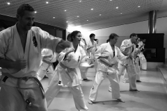 6th Swiss Kyokushin Winter Camp  16-18.12.16 - 214