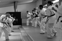 6th Swiss Kyokushin Winter Camp  16-18.12.16 - 216