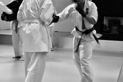 6th Swiss Kyokushin Winter Camp  16-18.12.16 - 220