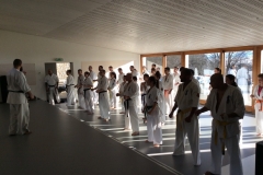 6th Swiss Kyokushin Winter Camp  16-18.12.16 - 25
