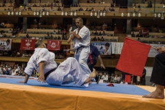 6th Swiss Kyokushin Winter Camp  16-18.12.16 - 274