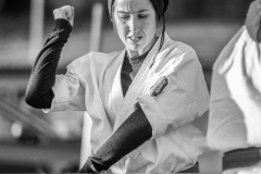 6th Swiss Kyokushin Winter Camp  16-18.12.16 - 278