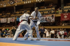 Championnat du Monde So-Kyokushin. Shizuka Japon, octobre 2016 - 49