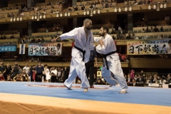 Championnat du Monde So-Kyokushin. Shizuka Japon, octobre 2016 - 51