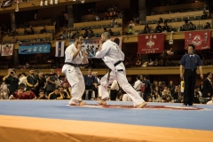 Championnat du Monde So-Kyokushin. Shizuka Japon, octobre 2016 - 57