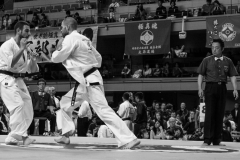 Championnat du Monde So-Kyokushin. Shizuka Japon, octobre 2016 - 58