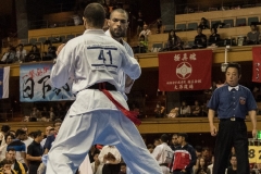 Championnat du Monde So-Kyokushin. Shizuka Japon, octobre 2016 - 59