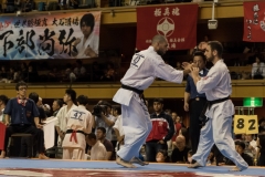 Championnat du Monde So-Kyokushin. Shizuka Japon, octobre 2016 - 66
