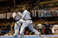 Championnat du Monde So-Kyokushin. Shizuka Japon, octobre 2016 - 69